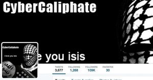 Contre l’Etat islamique, l’armée active une cellule de contre-propagande