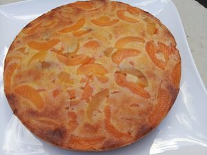 moelleux aux abricots