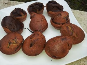 Muffins marbrés chocolat vanille
