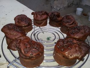 Muffins aux pépites de chocolat ww