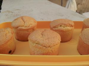 Mini gateaux de savoie