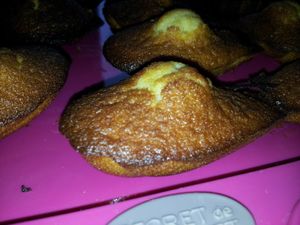 Madeleines de philippe conticini