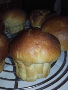 briochettes