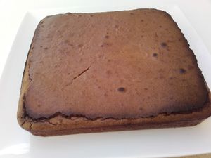 Pavé au chocolat ww