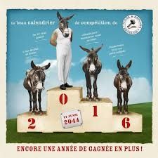 MOTS DU LIBRAIRE-SPÉCIAL NOËL
