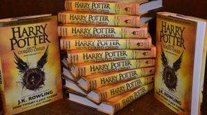 SPECIAL HARRY POTTER