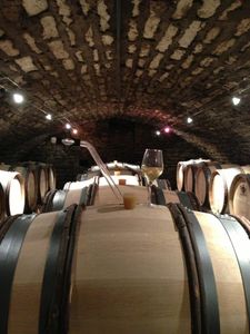 A propos des notes grillées dans les vins blancs