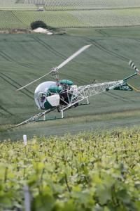 Protéger la vigne: un premier traitement contre l'oïdium