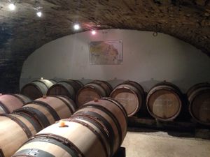 Millésime 2013: caractères des vins après fermentations alcooliques