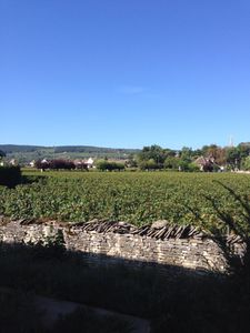 22 Septembre: il fait beau et - heureusement! - les maliques se dégradent