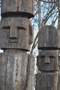 San Martin de los Andes (Argentine) - Cañete (Chili) - 588 km - Contrastes