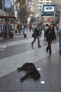 Bilan Chili - Hasta luego los Chilenos - ¡Catchai!