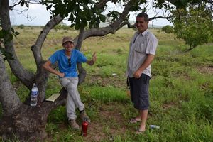 Santa Elena de Uairen (Venezuela) - Lethem (Guyana) - 370 km - Parenthese bresilienne