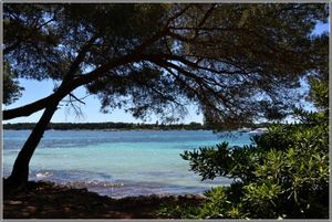 1. Sorties en mer