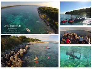 1. Sorties en mer