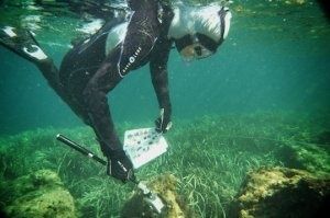1. Sorties en mer