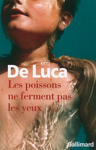 Les poissons ne ferment pas les yeux - Erri de Luca