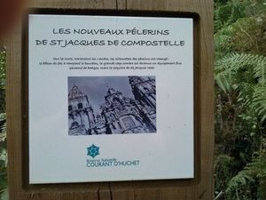 Un milieu préservé à apprécier : le Courant d’Huchet (Landes)