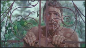 The Swimmer, Frank Perry