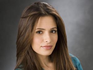 Sarah Shahi de retour dans Person Of Interest