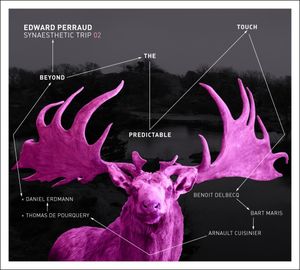 Edward PERRAUD SYNAESTHETIC TRIP 02 : “Beyond the Predictable Touch” (Quark / l’autre distribution)