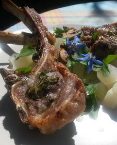 Côtes d'agneau au grill