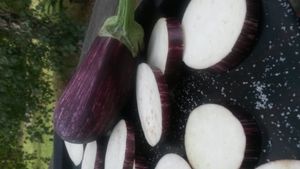 Salade d'aubergine grillé sauce aigre-douce