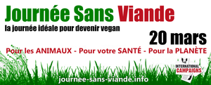 e-book gratuit : 10 ème édition disponible