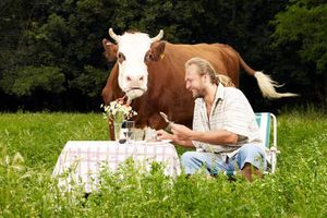 Faut-il manger de la viande tous les jours ?