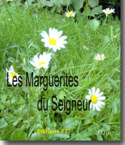 133 - Les Marguerites du Seigneur. ________________________________________
