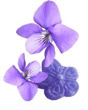 Fée AZ : crème mains propolis et violette