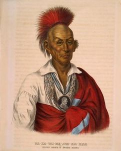 Ma-ka-ta-i-me-she-kia-kiak, Black Hawk