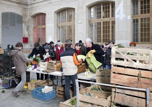 Week end Agricole... l'embarras du choix !