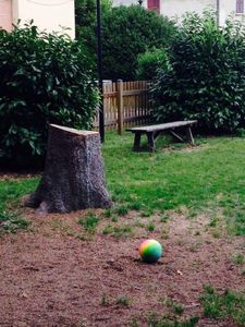 Tagliati gli alberi morti nel giardino del Municipio.