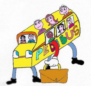 Pedibus. Riparte il primo ottobre. L'intenzione di attivare la terza linea.