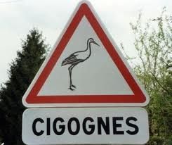 je migre comme les cigognes !!!