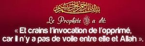 Les 5 piliers de notre résistance...