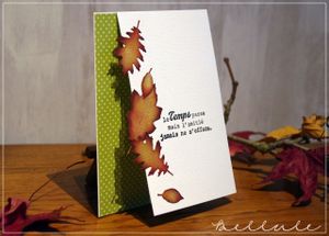 Challenge N°95 chez Carte Maniak
