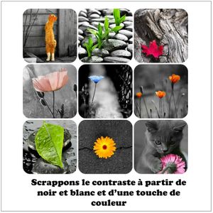Challenge n°54 chez l'Antre Scrap