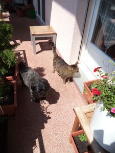 On nous annonce une canicule...