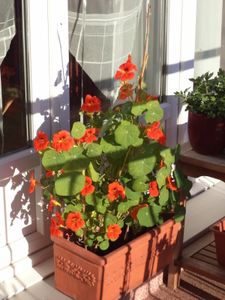 Début septembre
