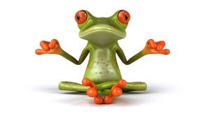 L'invasion des grenouilles / The invasion of the frogs