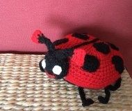 coccinelle