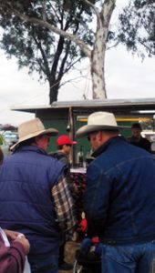 Farmfest - Toowoomba / The Ekka - Brisbane