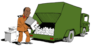 Egypte : Carnage et Saccage…