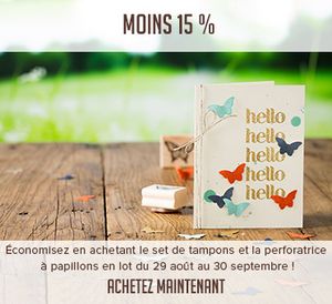 Petit papillon, joli papillon...