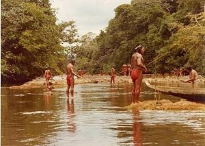 La pêche à la nivrée