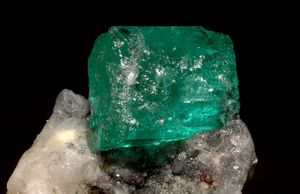 Goutte de sève