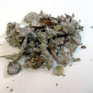 Les plantes potagères du capitulaire de Villis I.