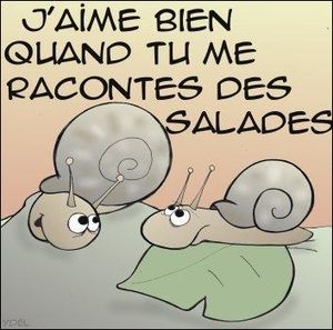 Les plantes potagères du capitulaire de Villis I.